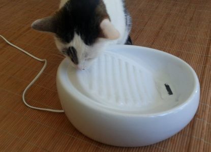 Bild / Foto: Lucky Kitty Katzenbrunnen Test