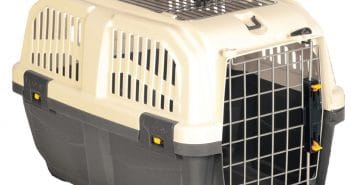 Die richtige Transportbox für deine Katze Katzen Transportbox
