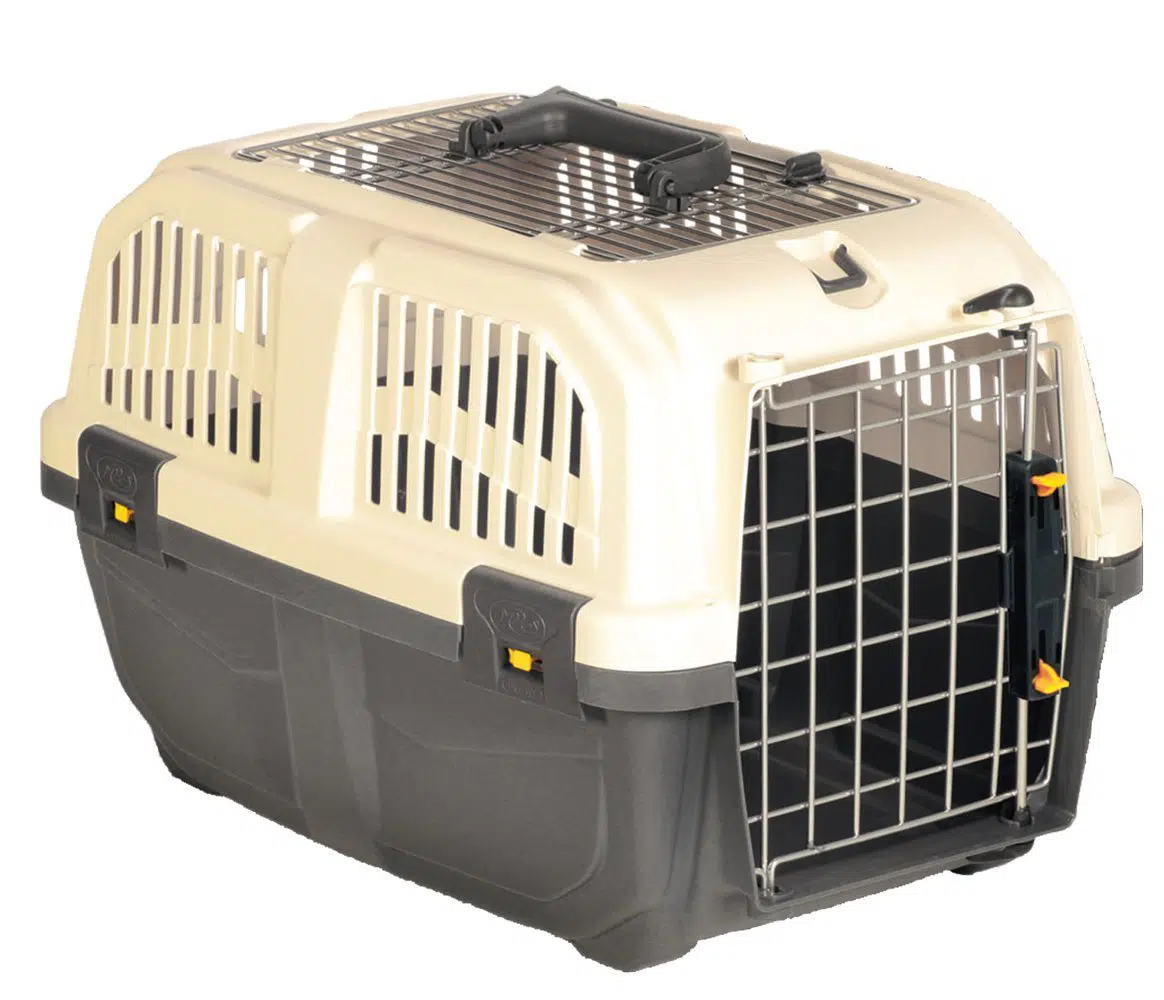 Die richtige Transportbox für deine Katze | katzenkram.