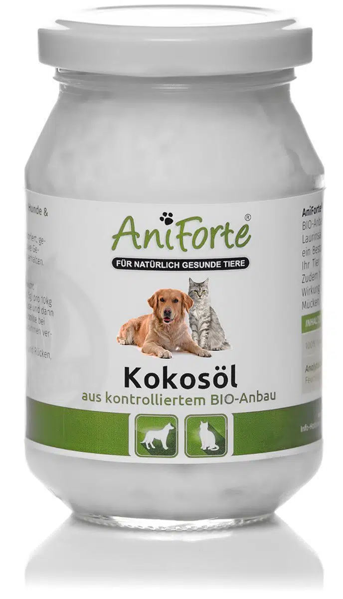 Kokosöl -Schützt Katzen vor Zecken
