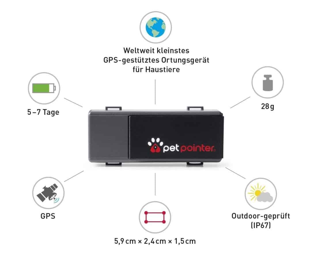 Gps Sender Für Katzen Unter Der Haut Katzen Ortung: Peilsender und GPS für Katzen im Vergleich • katzenkram