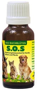 Bachblüten Katzen