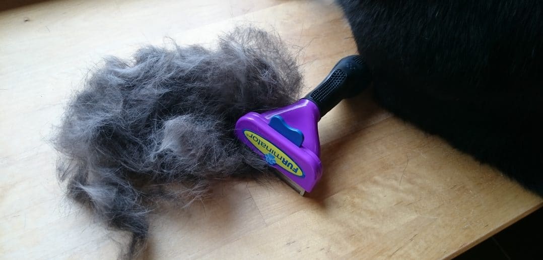 Furminator Katzenhaare
