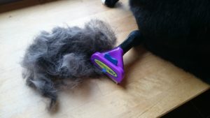 Furminator Katzenhaare