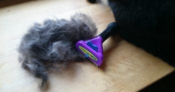 Der Furminator: Kampf den Katzenhaaren! Furminator Katzenhaare