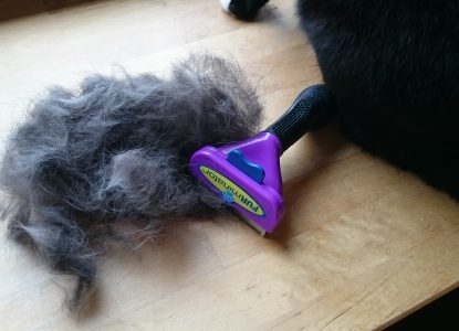 Furminator Katzenhaare