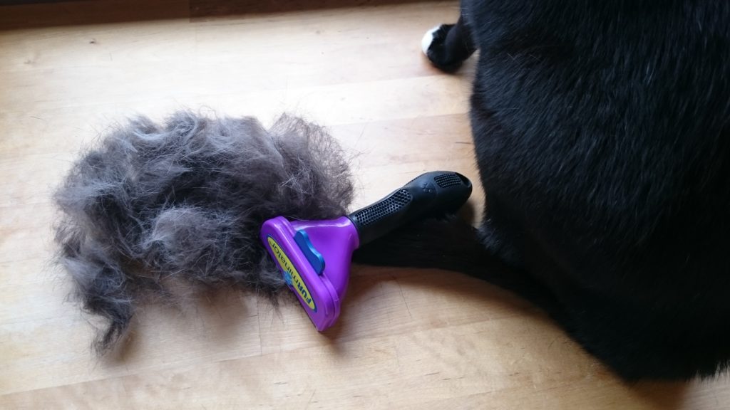 Bild / Foto: Furminator Katzenhaare