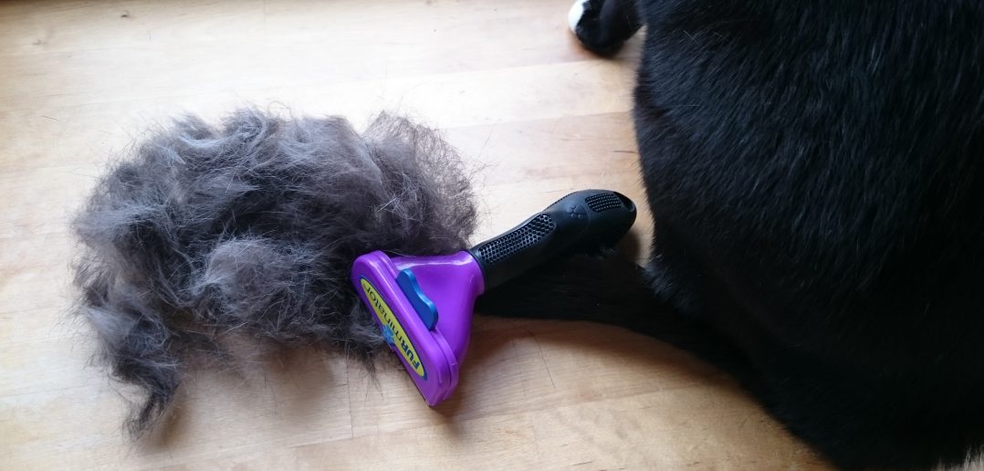 Furminator Katzenhaare