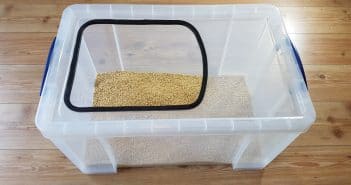 Toploader Katzenklo selber bauen – Weniger Dreck, kein Danebenpinkeln mehr (Tutorial-Video) Katzenklo selber bauen