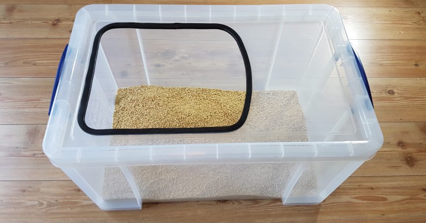 Katzenklo selber bauen