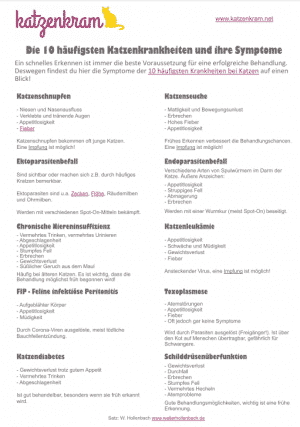 Spickzettel - Katzenkrankheiten und ihre Symptome