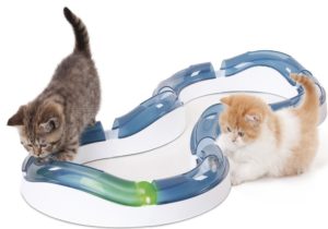 Ballschiene für Katzen