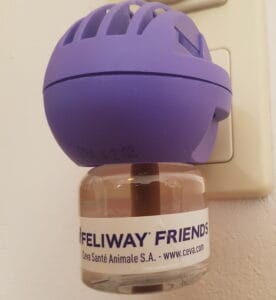 Bild: feliway friends - Katzenzusammenführung, Katzenpheromone