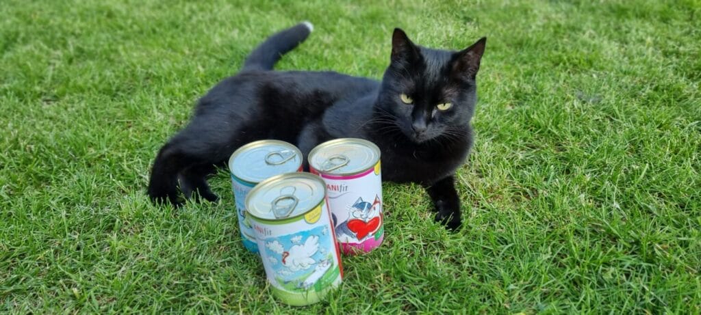 ANIfit Katzenfutter