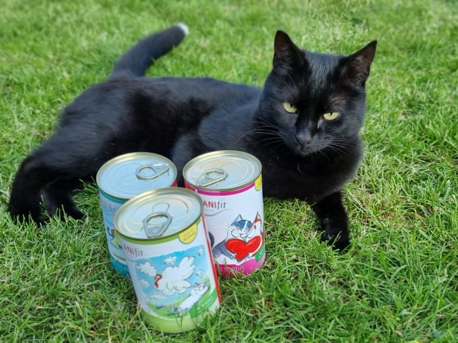 ANIfit Katzenfutter