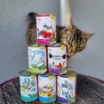 ANIfit Katzenfutter Test