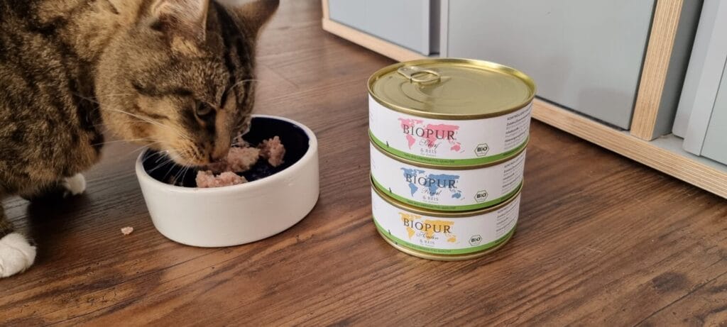Bio Katzenfutter im Test