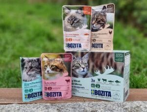 Bozita Häppchen in Gelée Test