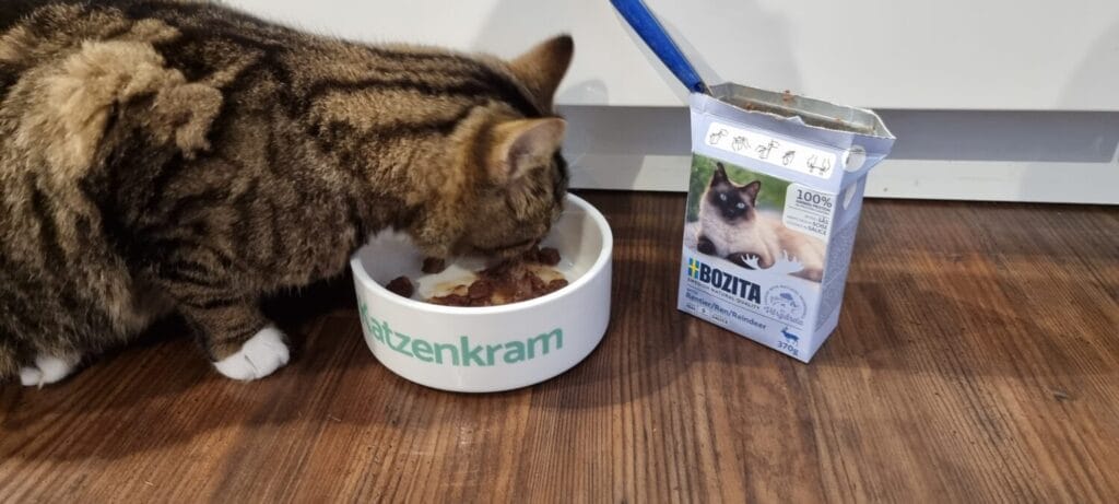 Bozita Katzenfutter Praxistest und Erfahrungen