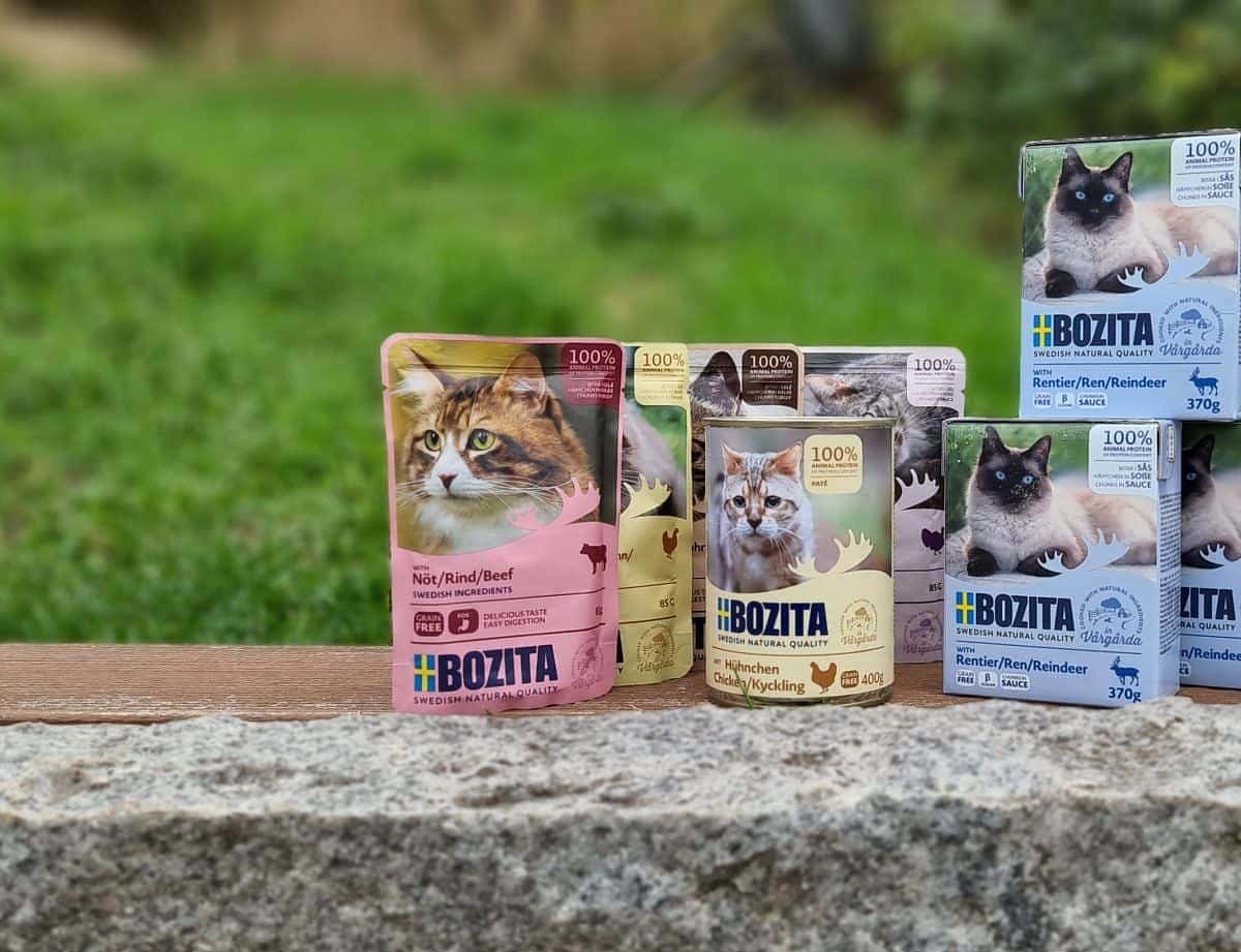 Bozita Katzenfutter Test Das Schweden-Futter im Praxistest