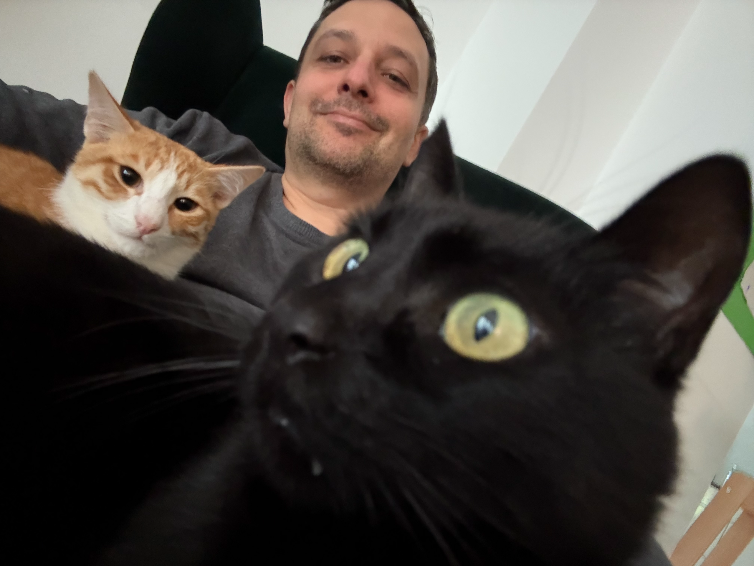 Dominik Hollenbach von Katzenkram mit seinen Katzen PonPon und Alfi