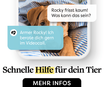 Dr. Sam Online-Tierarzt