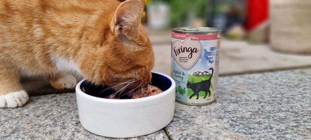 Feringa Katzenfutter Praxistest