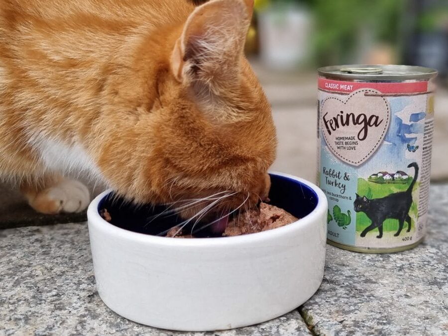 Feringa Katzenfutter Praxistest