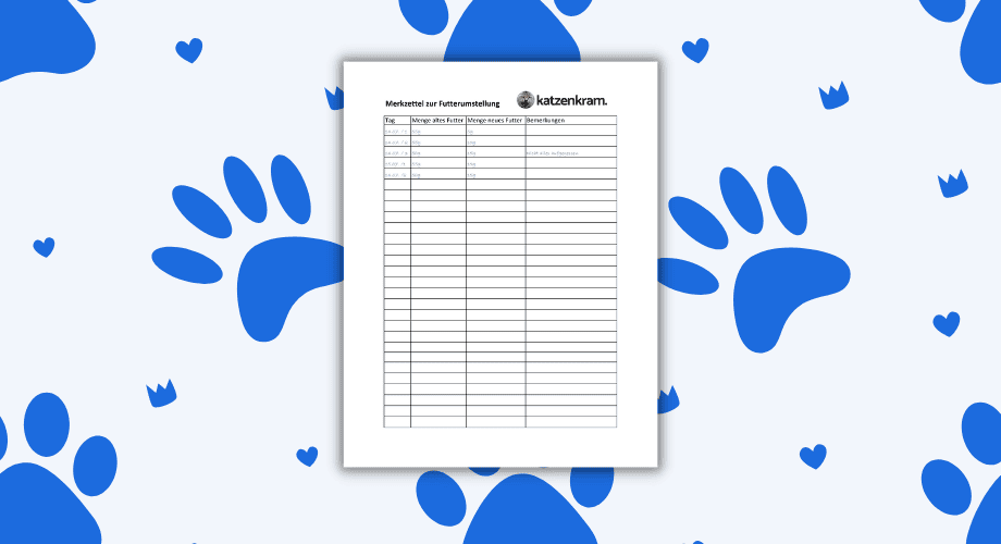 Futterumstellung Katze Notizzettel