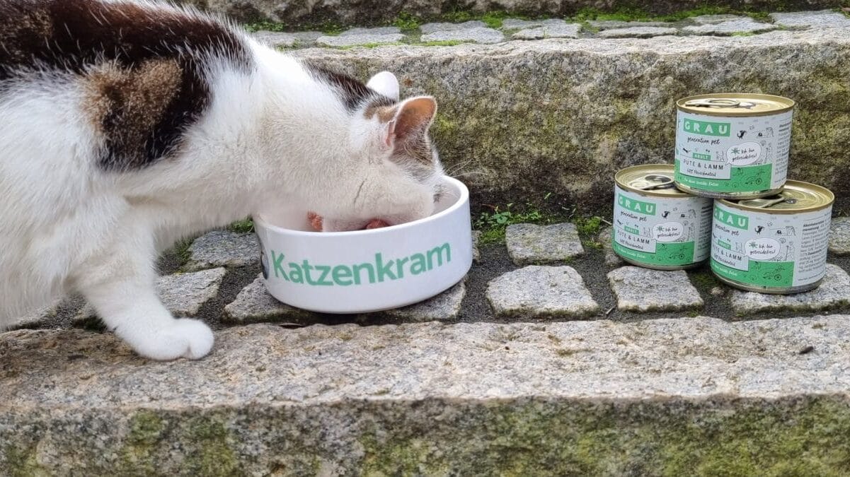 Grau Katzen Nassfutter Test