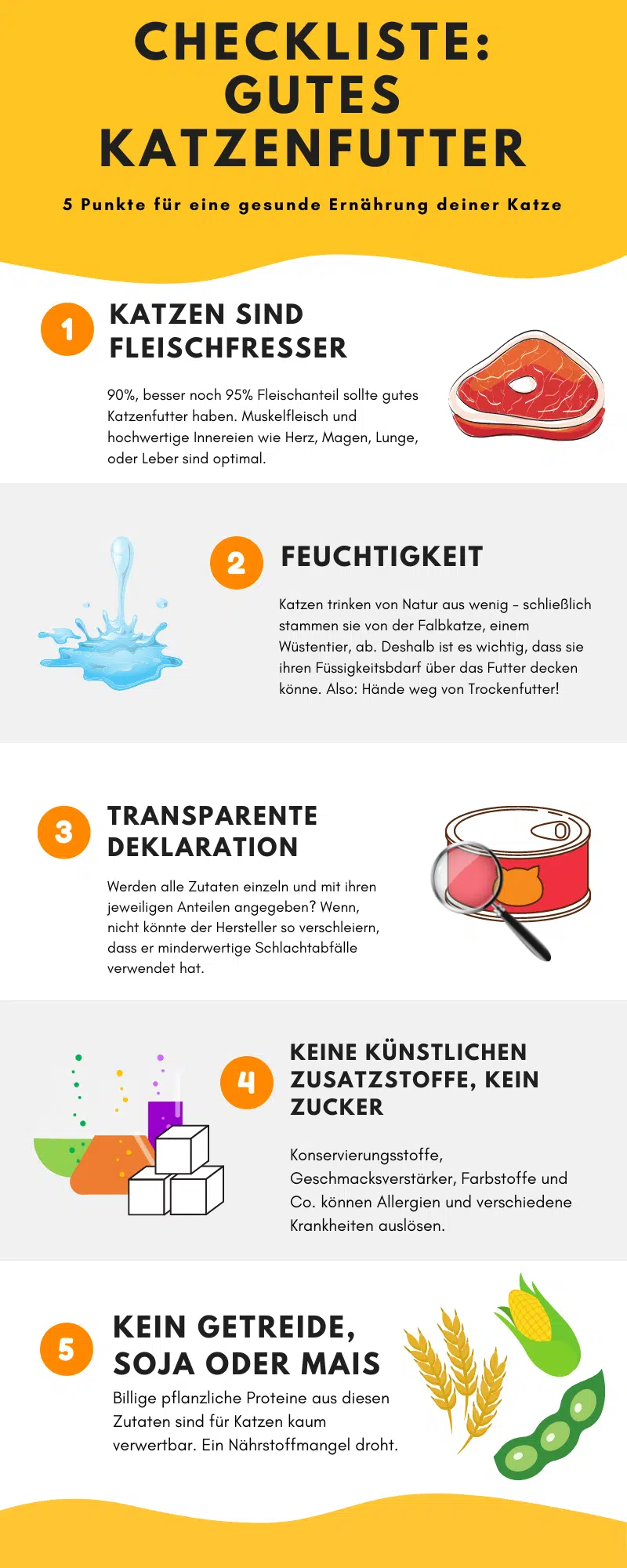 Infografik gesundes Katzenfutter