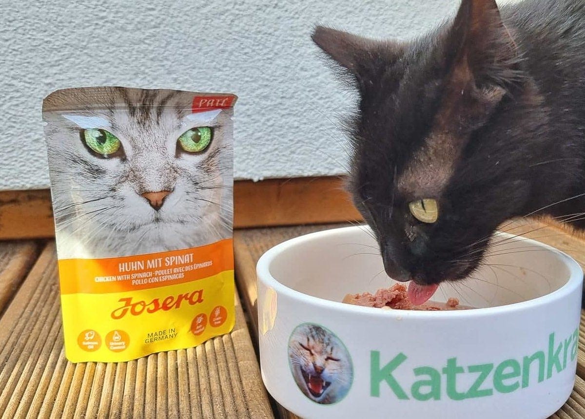 Josera Katzenfutter Test
