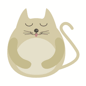 Katze Übergewicht durch Milch