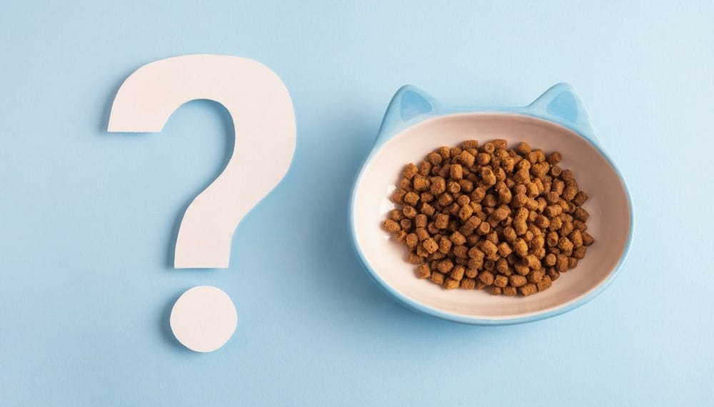 Katze frisst nur Trockenfutter