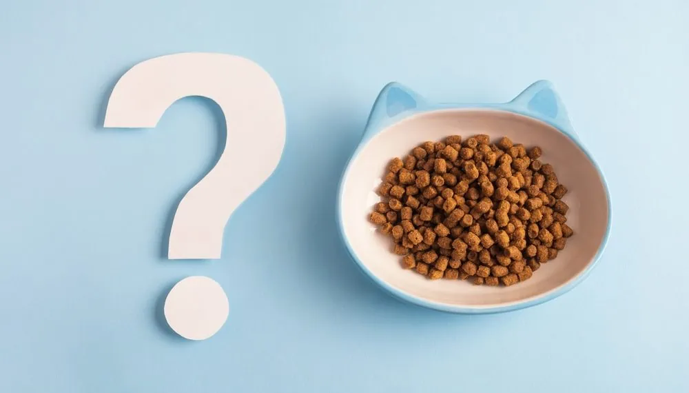 Katze frisst nur Trockenfutter