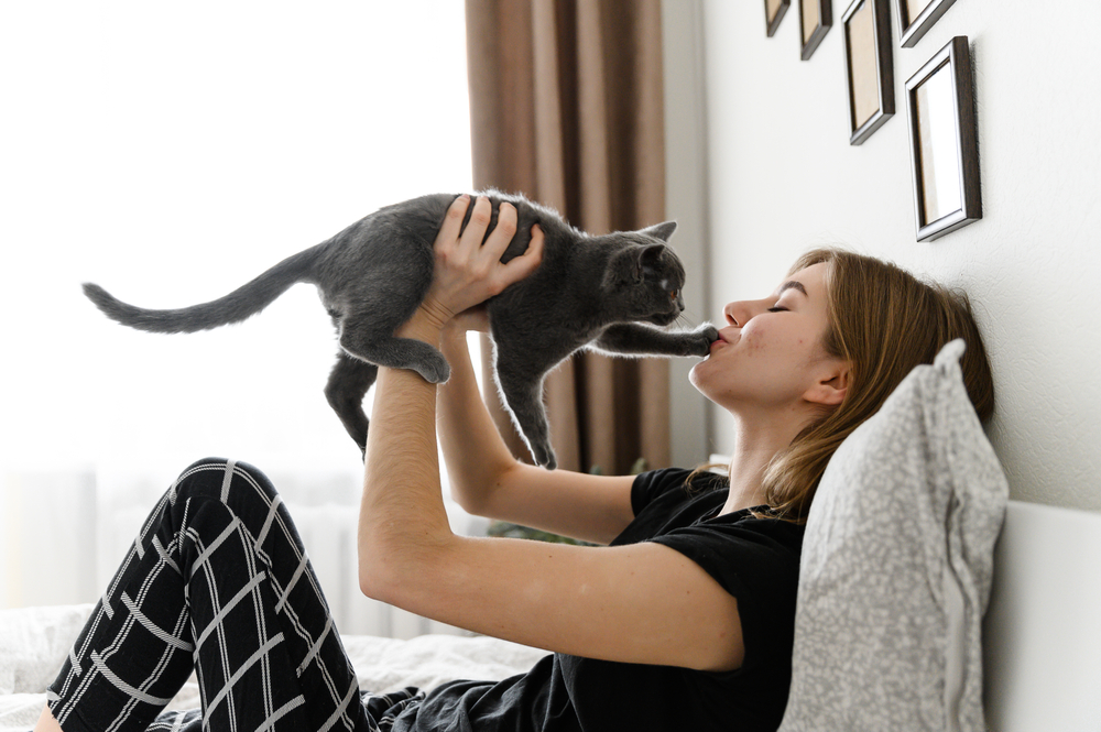 Katzen Krankheiten Mensch