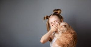 Katzen für Allergiker