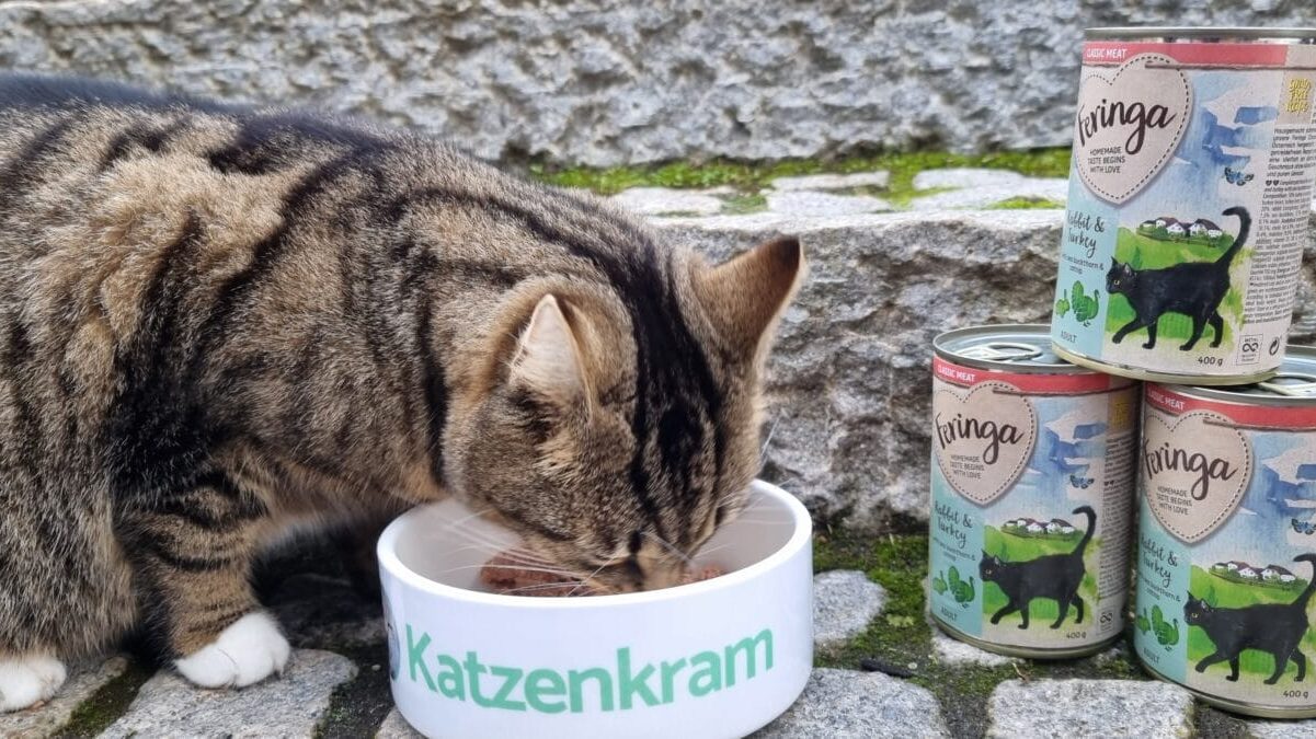 Feringa Katzenfutter Praxistest