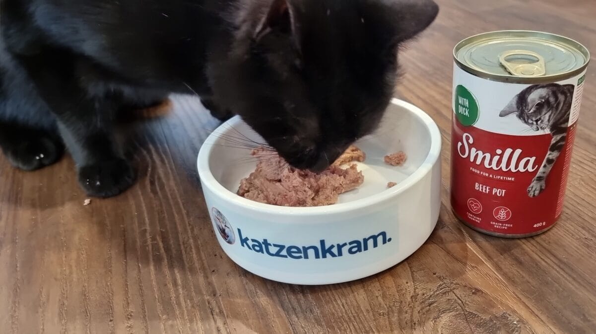 Kater PonPon frisst Smilla Katzenfutter