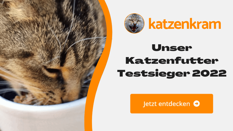 Unser Katzenfutter Testsieger 2022 - Jetzt entdecken!