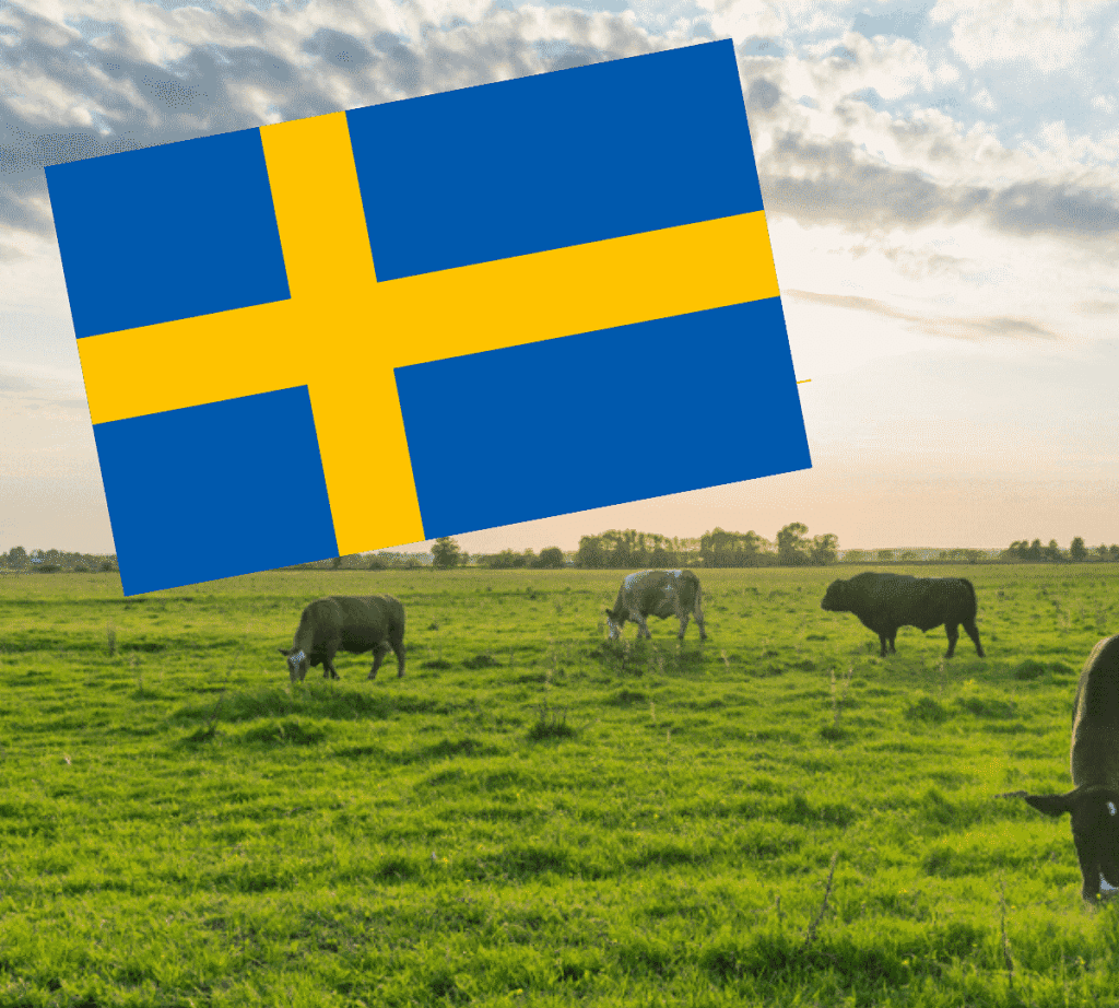 Katzenfutter aus Schweden