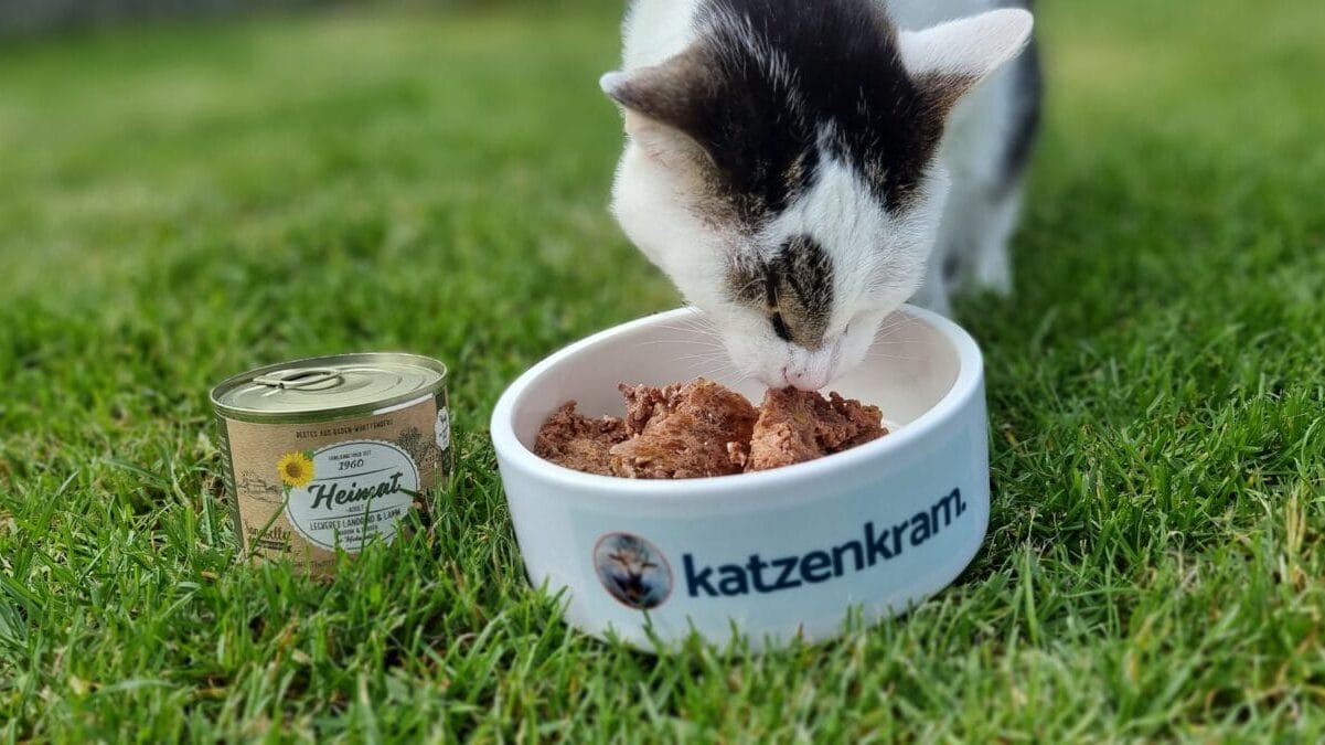 Katzenkram Katzenfutter Test