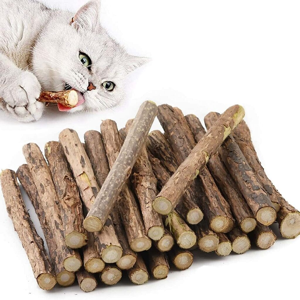 Katzenminze Sticks