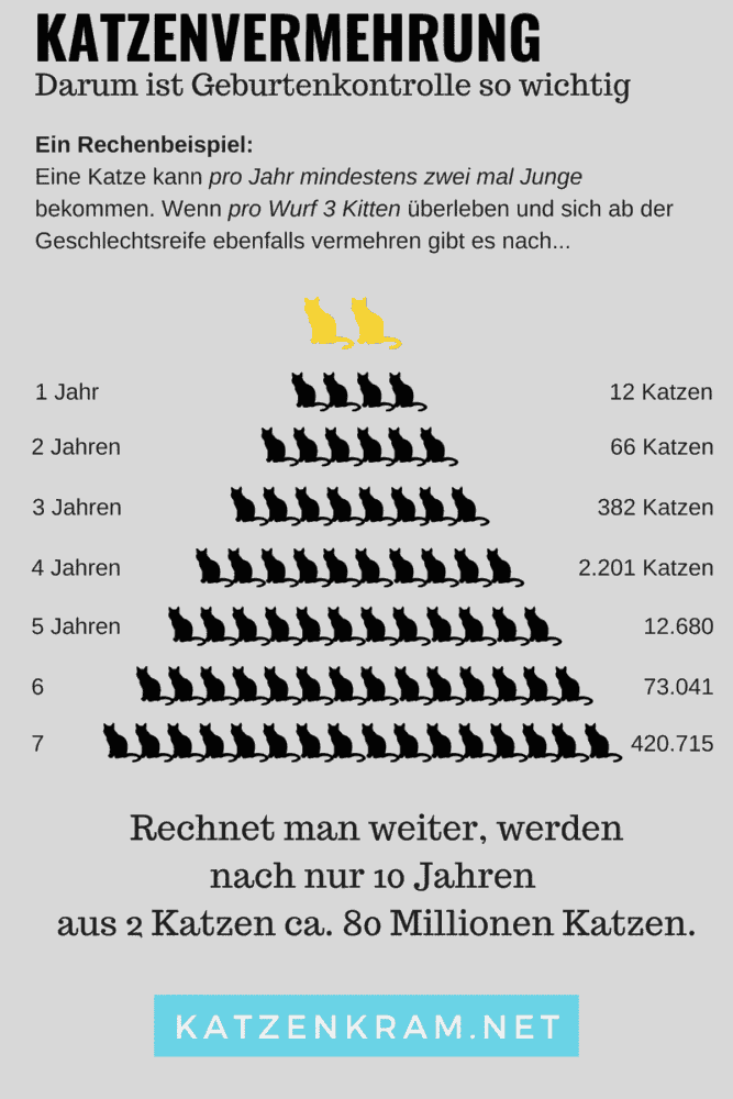 Bild / Infografik: Unkontrollierte Vermehrung von Katzen, Geburtenkontrolle und Kastration bei Katzen