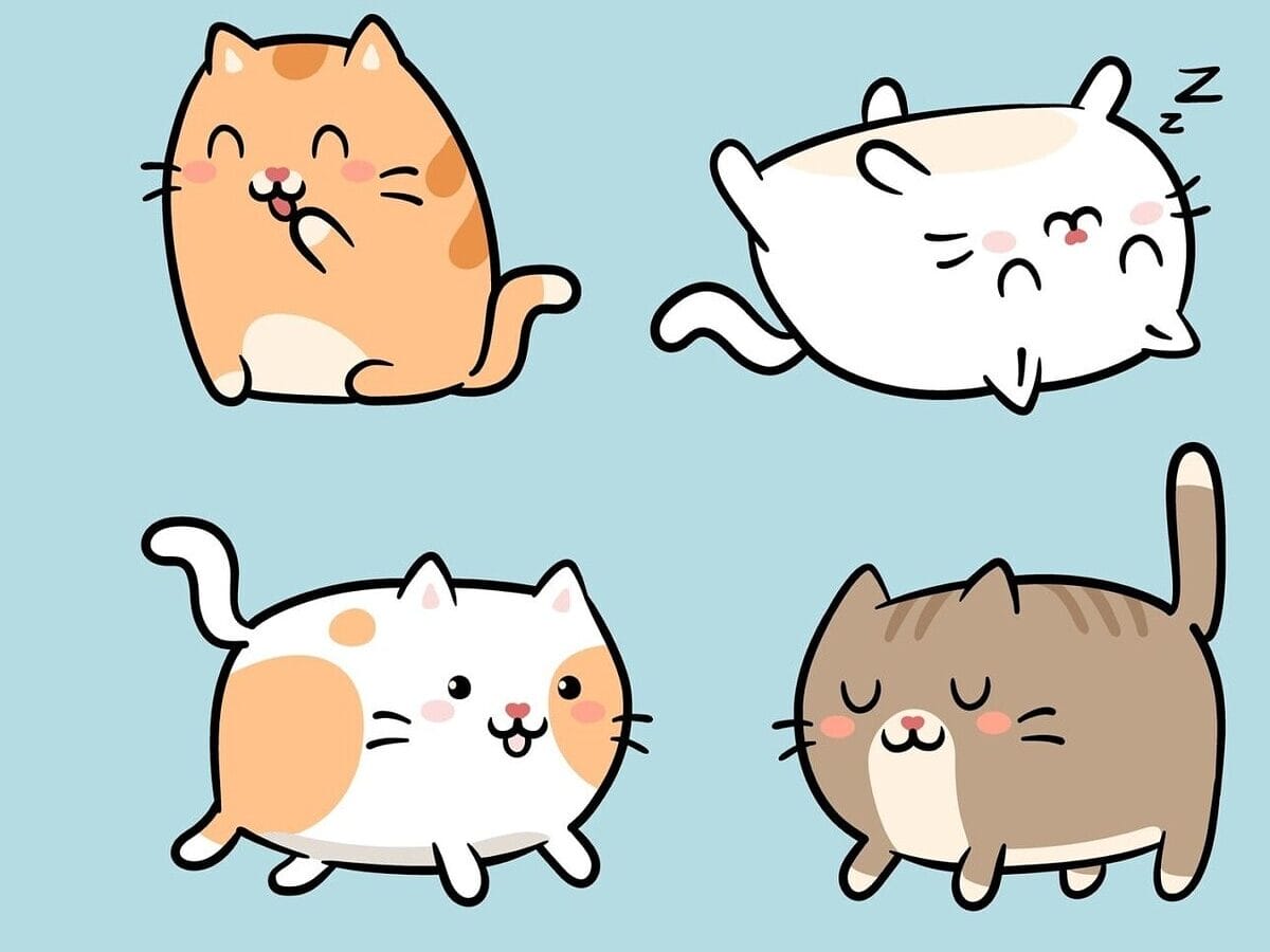 Kawaii Katzennamen