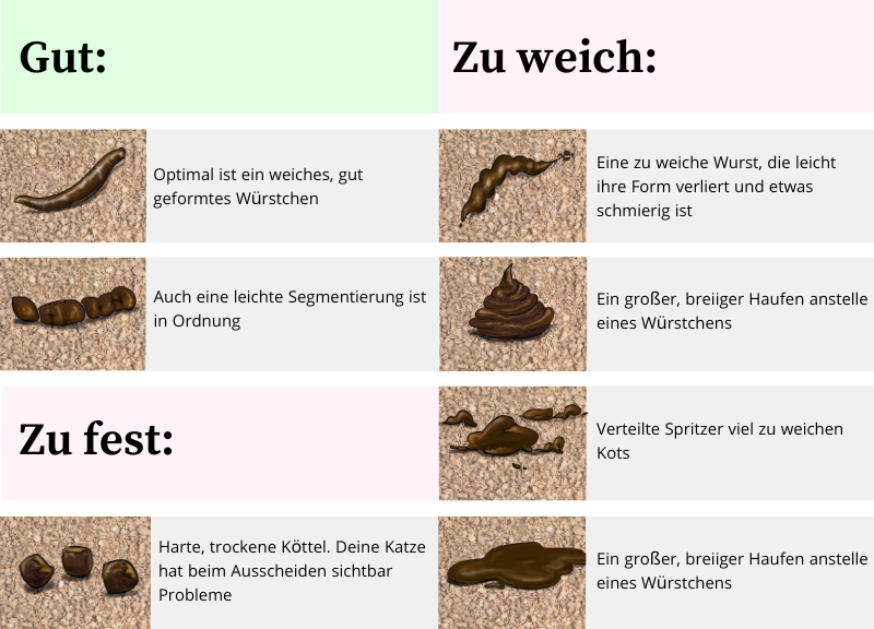 Konsistenz Katzenkot Tabelle
