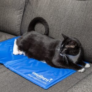 Kühlmatte für Katzen