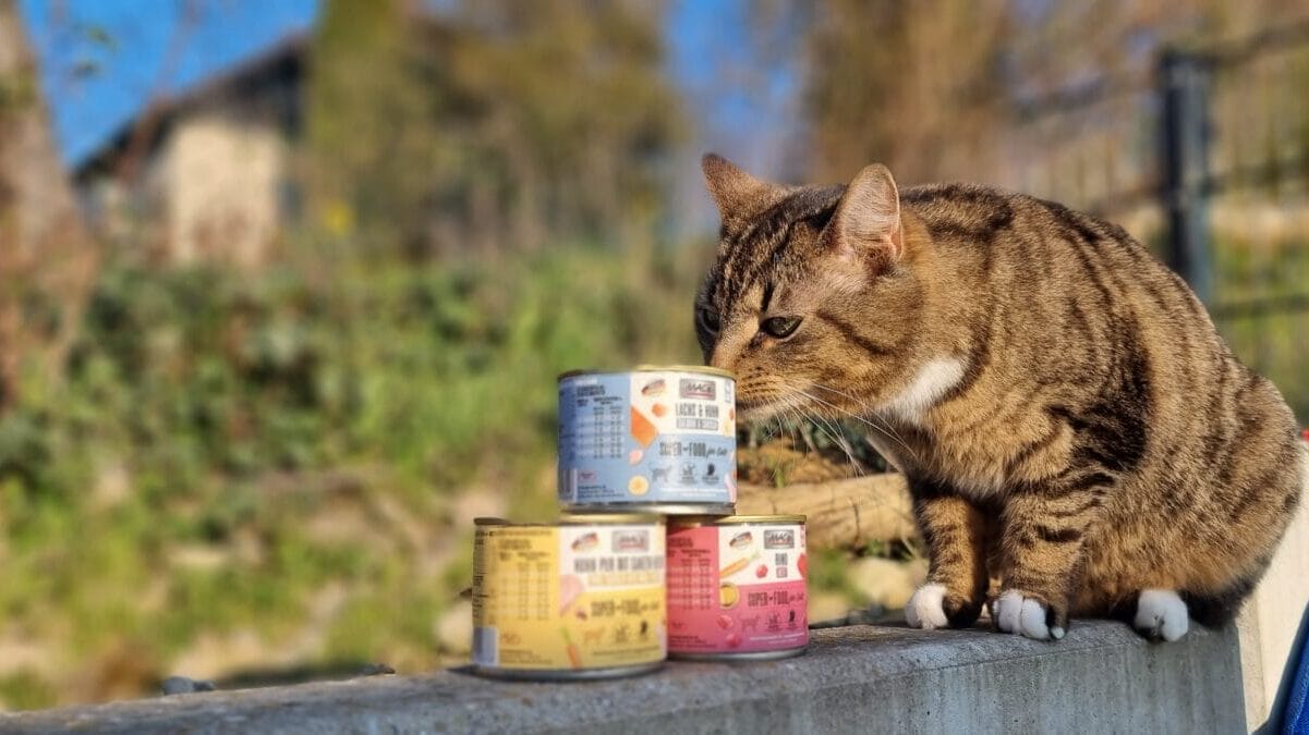 MACs KAtzenfutter