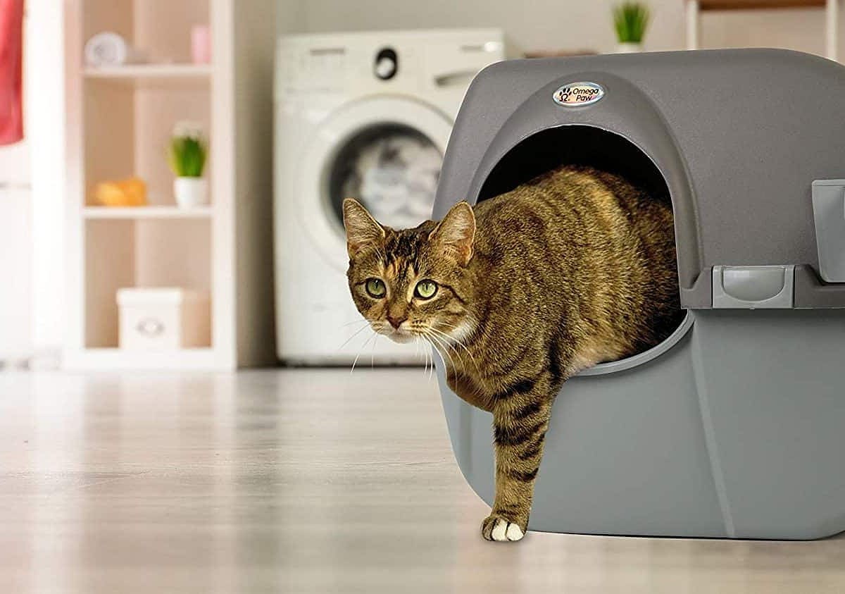 Die Omega Paw Katzentoilette muss nicht ausgeschippt werden.