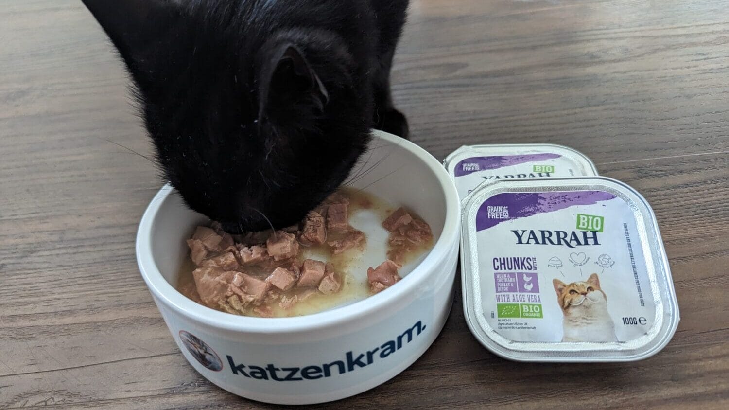 Kater Ponpon beim Praxistest mit Yarrah Bio